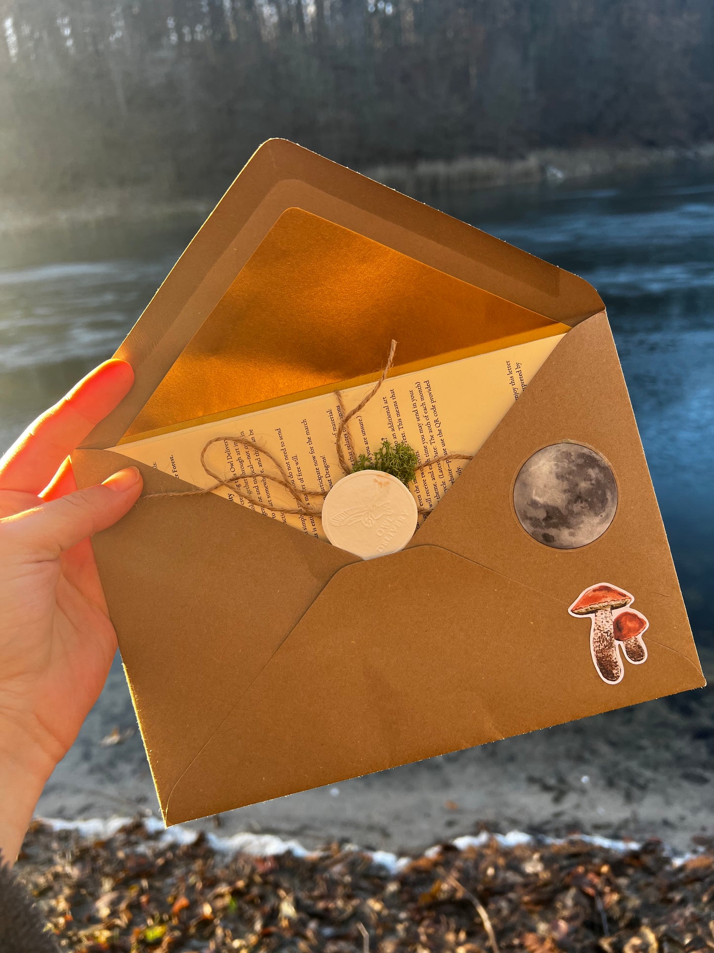 Past Edition: Mermaid - Owl Delivery - your monthly magical art letter