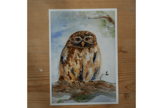 Owl - Print - Artmeanspeace