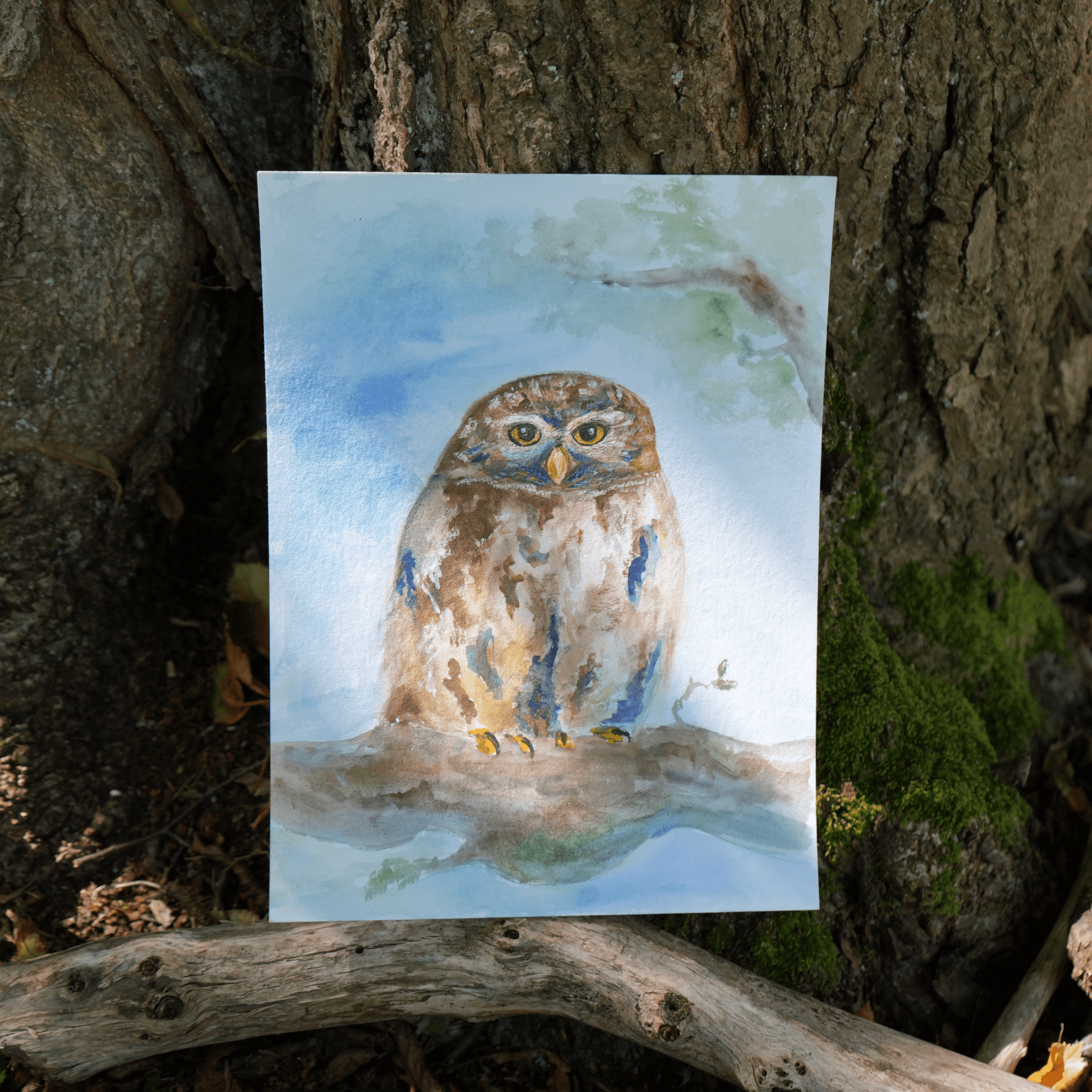Owl - Print - Artmeanspeace
