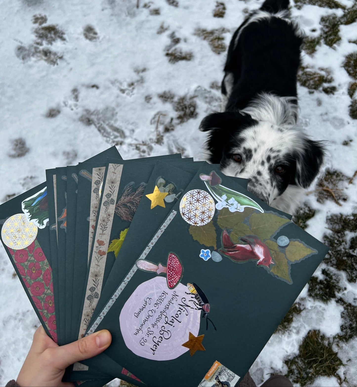 Hand holding a stack of decorated cards with a dog in the background on a snowy ground